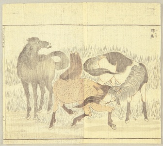 Katsushika Hokusai: Wild Horses - Artelino