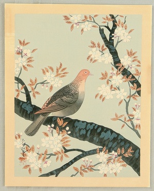 Ono Bakufu: Collection of Japanese Flowers and Birds - Turtle Dove and Cherry - Artelino