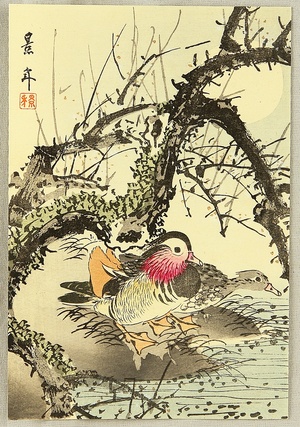 Imao Keinen: Mandarin Ducks - Artelino