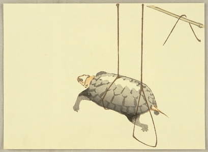 無款: Hanging Turtle - Artelino