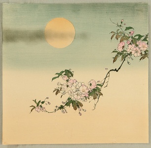 無款: The Moon and Cherry Blossoms - Artelino