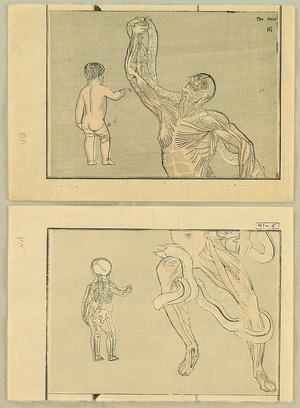 Kawanabe Kyosai: Anatomical diptych - 1 - Artelino