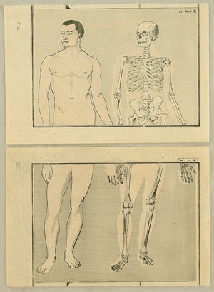 河鍋暁斎: Anatomical diptych - 2 - Artelino