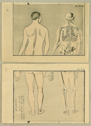 河鍋暁斎: Anatomical diptych - 3 - Artelino