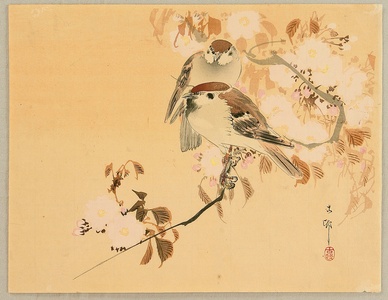 小原古邨: Sparrows and Cherry Blossoms - Artelino