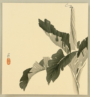 Hasegawa Konobu: Banana Tree - Artelino