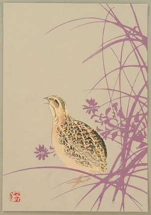 無款: Quail in Autumn - Artelino