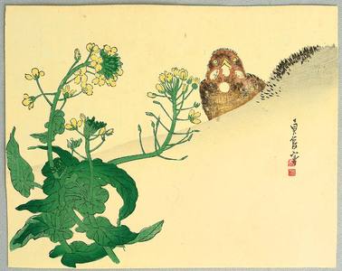 Hasegawa Sadanobu III: Sparrow and Yellow Flower - Artelino