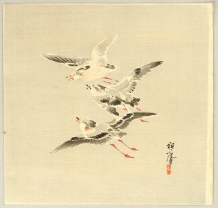 Hirafuku Suian: Three Birds - Artelino