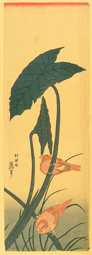 Katsushika Hokusai: Bird and Plant - Artelino