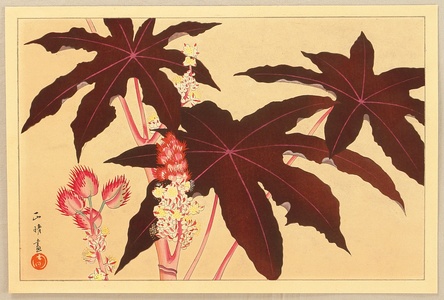 Aoyama Masaharu: Botanical Print - Artelino