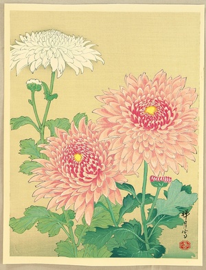 Unknown: Chrysanthemums - Artelino