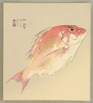 Takeuchi Seiho: Sea Bream - Tai Fish - Artelino