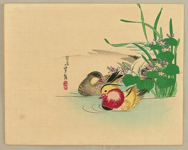 Hasegawa Sadanobu III: Mandarin Ducks - Artelino