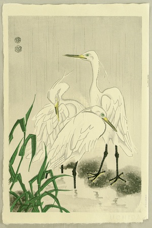 Kotozuka Eiichi: Herons in Rain - Artelino
