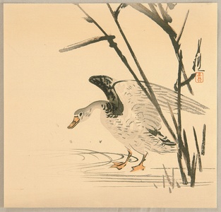 Ogata Gekko: Wild Goose and Reeds - Artelino