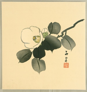 Murayama Koka: Camellia - Artelino
