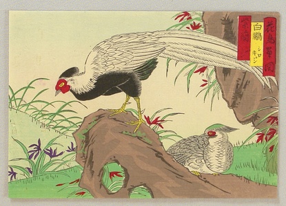 三代目歌川広重: Bird and Flower - White Pheasants - Artelino