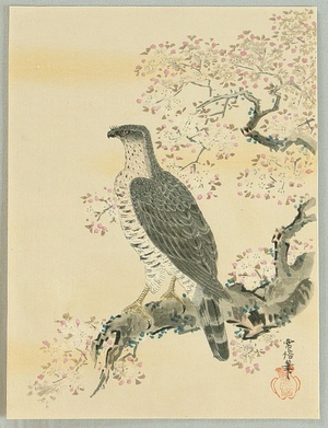 無款: Falcon and Cherry Tree - Artelino