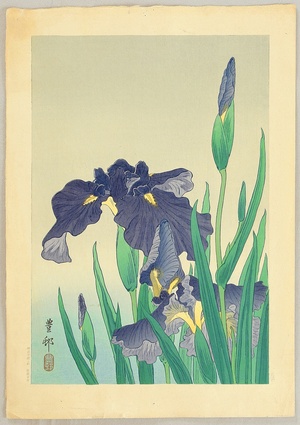 Ohara Koson: Flowering Iris - Artelino