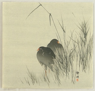 無款: Moore Hens in Marsh - Artelino