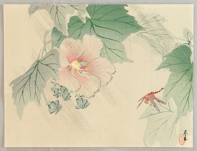 Yamamoto Shunkyo: Rose Mallow and dragonfly - Artelino