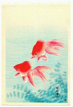 Ohara Koson: Goldfish - Artelino