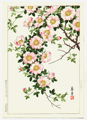 Nishimura Hodo: Wild Vine Rose - Artelino