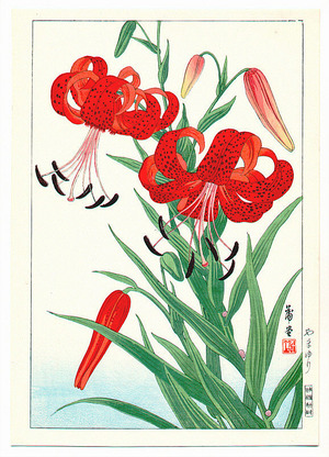 Nishimura Hodo: Orange Tiger Lillies - Artelino
