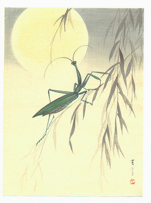 Watanabe Seitei: Praying Mantis and the Moon - Artelino