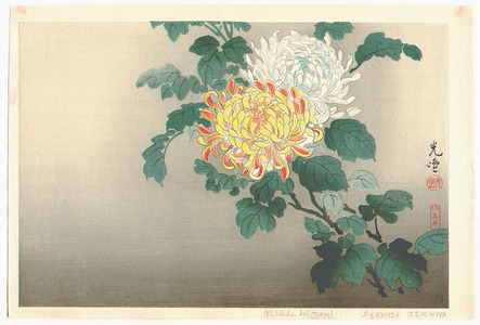 風光礼讃: Chrysanthemums - Artelino