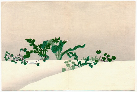 神坂雪佳: Green Plants - Momoyo Gusa - Artelino