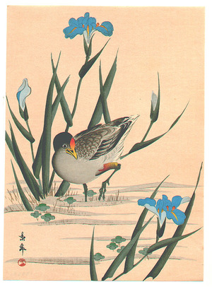 今尾景年: Bird among Blue Irises - Artelino