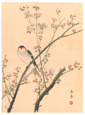Imao Keinen: Bird on Pink Blossoming Branch - Artelino
