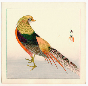 Takahashi Biho: Pheasant - Artelino