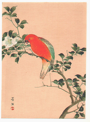 Kikuchi Hobun: Orange Parrot - Artelino