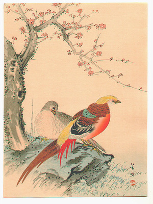 Kikuchi Hobun: Two Pheasants - Artelino