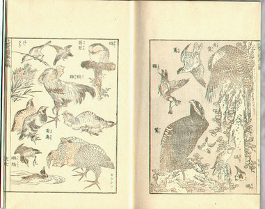 Katsushika Hokusai: Hokusai Manga (Meiji printing) vol.3 - Artelino