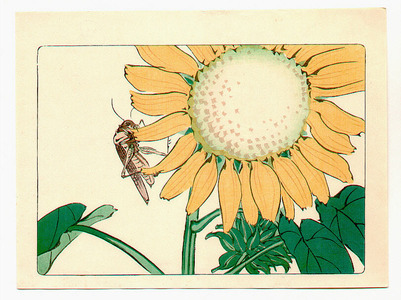 Shibata Zeshin: Sun Flower and Grasshopper - Hana Kurabe - Artelino