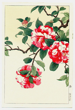 Nishimura Hodo: Camellia (Muller Collection) - Artelino