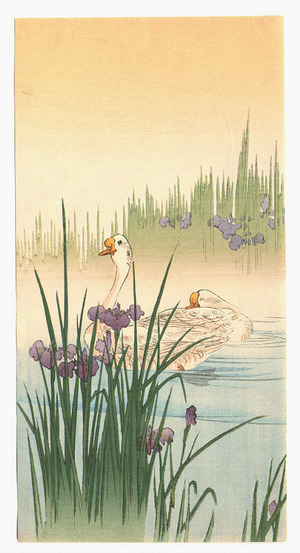 Estampe japonaise "Ducks and Irises" par Unknown, 無款 (null)