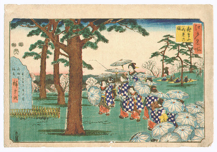 Utagawa Hiroshige: Looking at Cherry Blossoms - Edo Meisho - Artelino