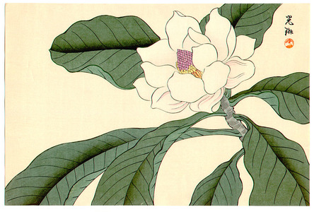 Ogata Korin After: Magnolia (Muller Collection) - Artelino