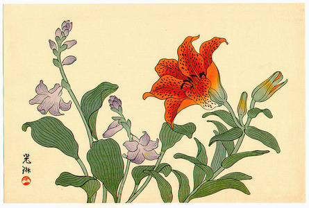 Ogata Korin After: Lilly and Hosta (Muller Collection) - Artelino