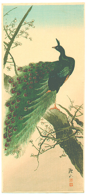 Ito Sozan: Peacock (Muller Collection) - Artelino