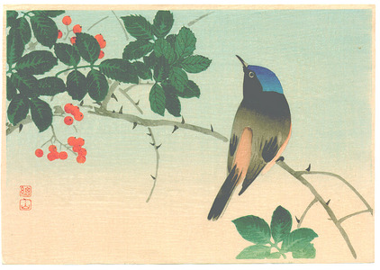 Ito Sozan: Blue Head Bird on Nanten Tree (Muller Collection) - Artelino