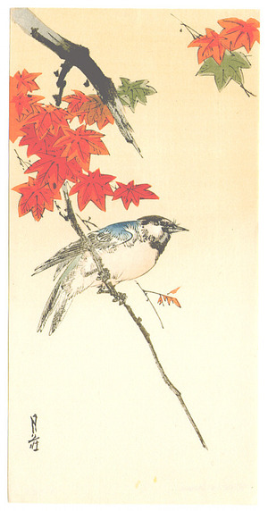 Yoshimoto Gesso: Blue Bird on Maple (Muller Collection) - Artelino
