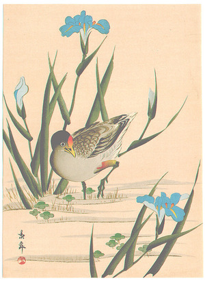今尾景年: Bird among Blue Irises (Muller Collection) - Artelino