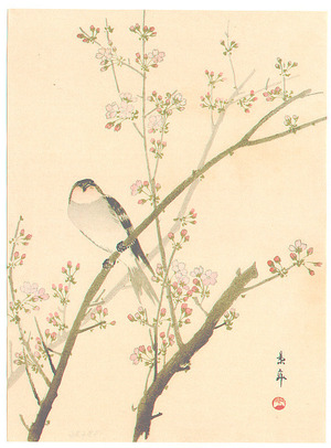 今尾景年: Bird on Pink Blossoming Branch (Muller Collection) - Artelino