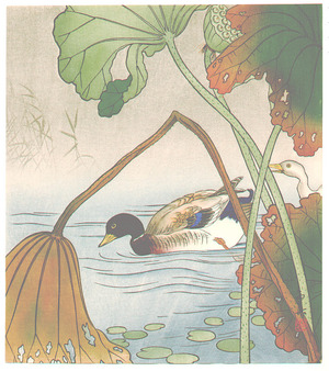 Unknown: Mallard and Lotus Leaves (Muller Collection) - Artelino